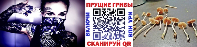 Галлюциногенные грибы GOLDEN TEACHER  Белоусово 